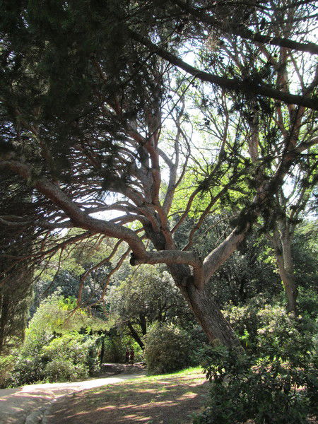 Оксана Брабец