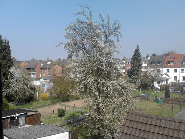 Sonja(Салиха) Peters