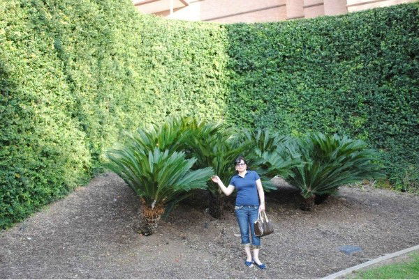 Айгуль Токова