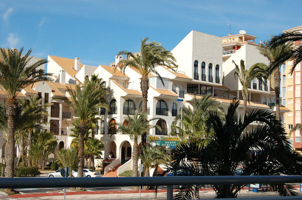 Галина Седаш