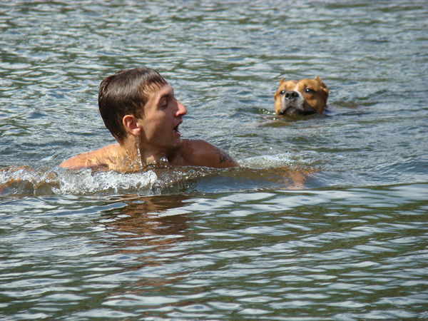 Андрей Маковецкий