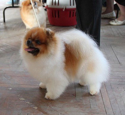 Татьяна Щербакова