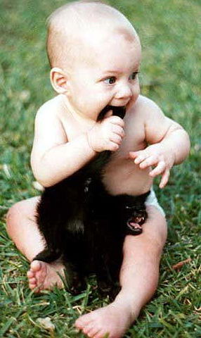 Aleksandr Shehovtsov