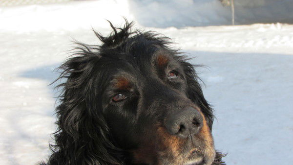 Бусс Наталья