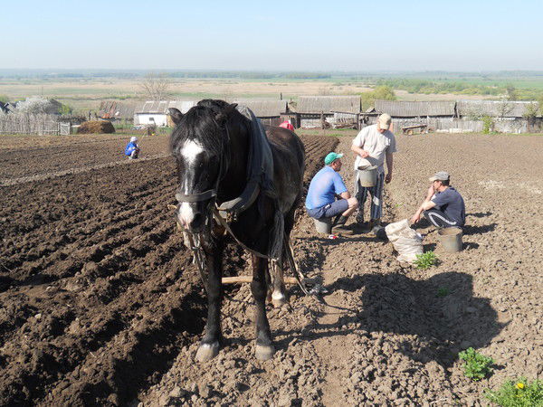 Федор Андронов
