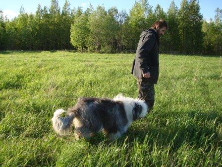 Владимир Жебин