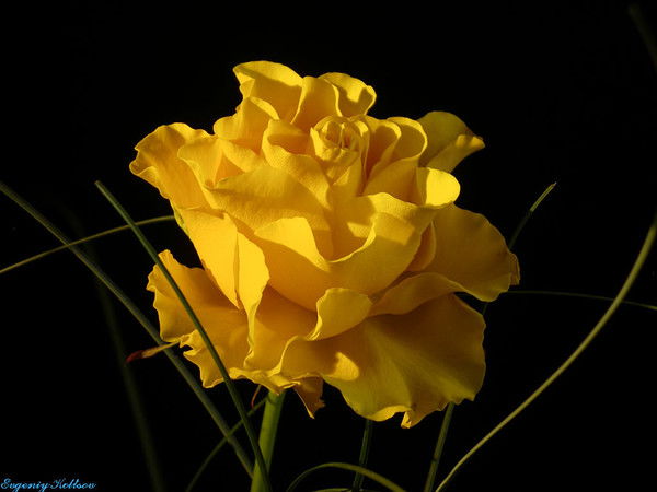 Алсу Баймухаметова