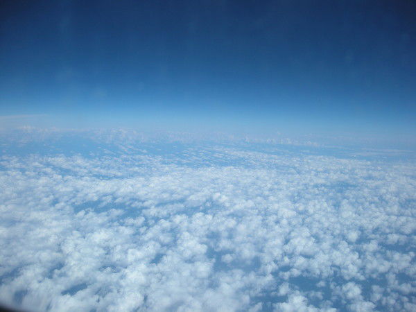 Светлана Воронцова