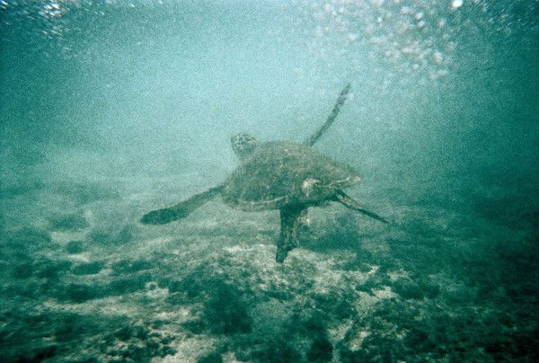 Илья Малыгин