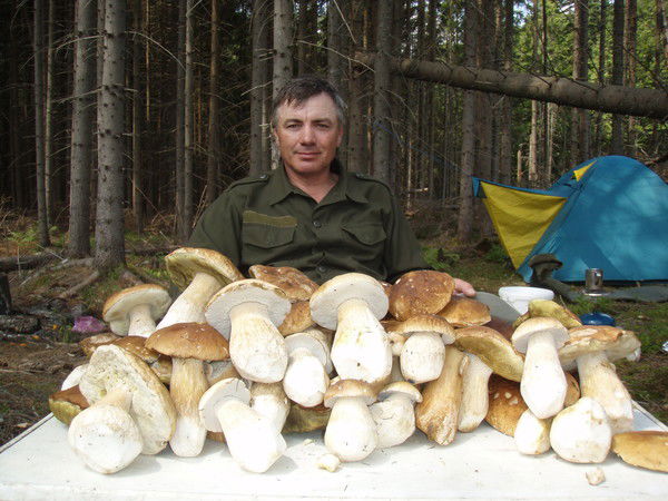 Владимир Владимирович