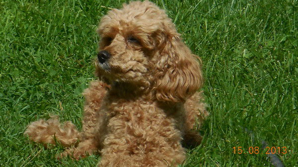 Инна Еремина ( Бряхина )