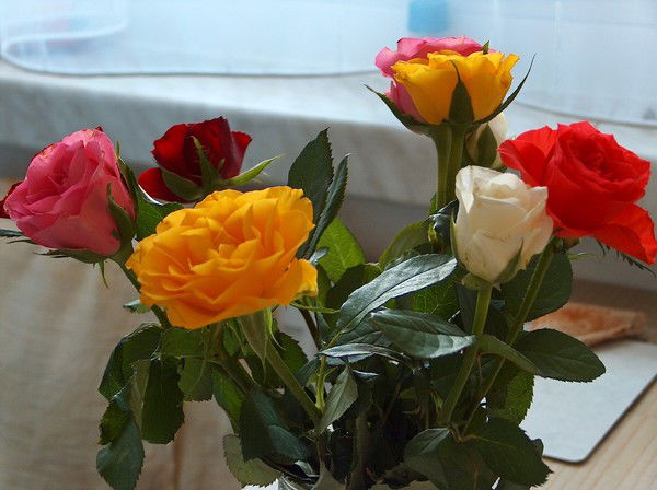 Андрей Шпет