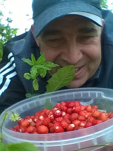 Валентин Долгих