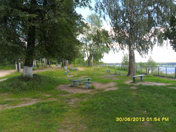 Юлия Парфенова