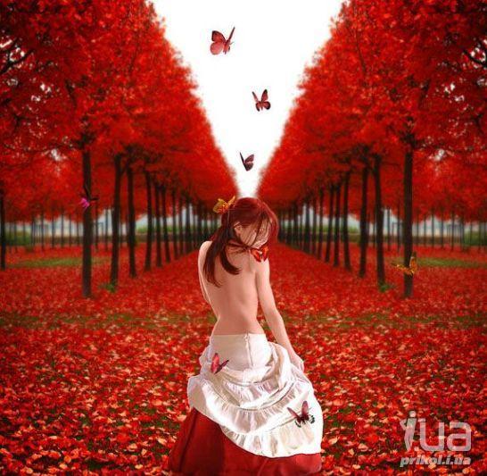 ****inna**** ****inna****