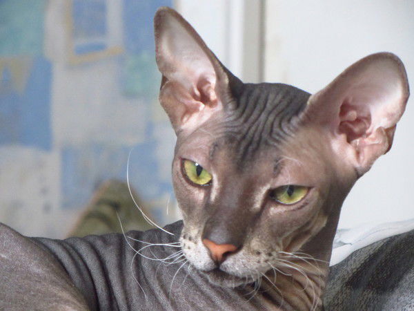 Татьяна Костецкая