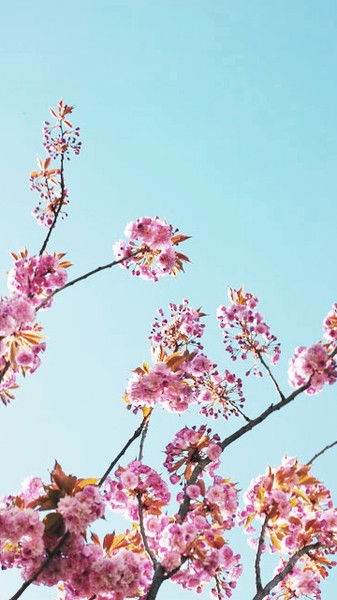 Елена Гуртякова