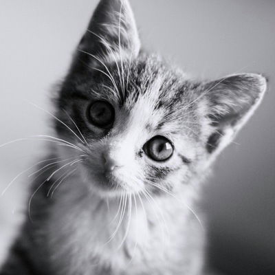 Аня Кустова