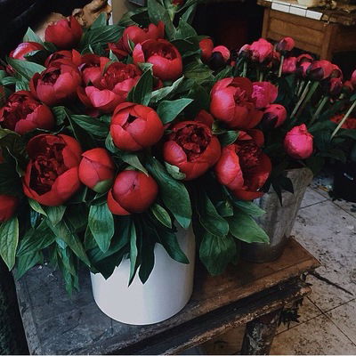 Ирина Зорко