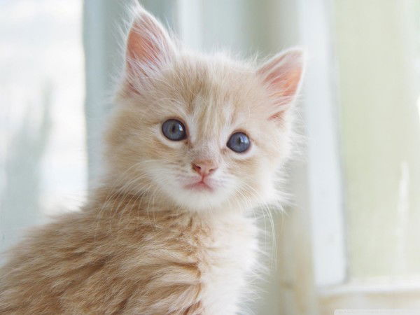 Дмитрий Жданов