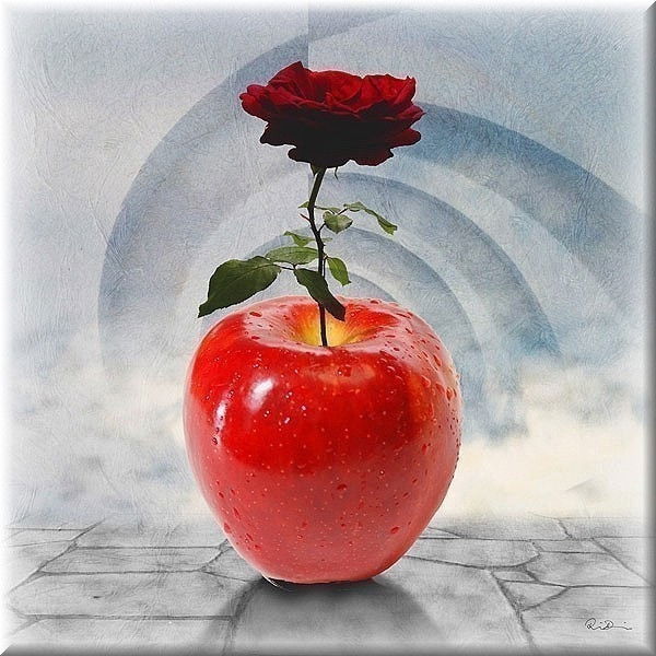 Елена Щёголева