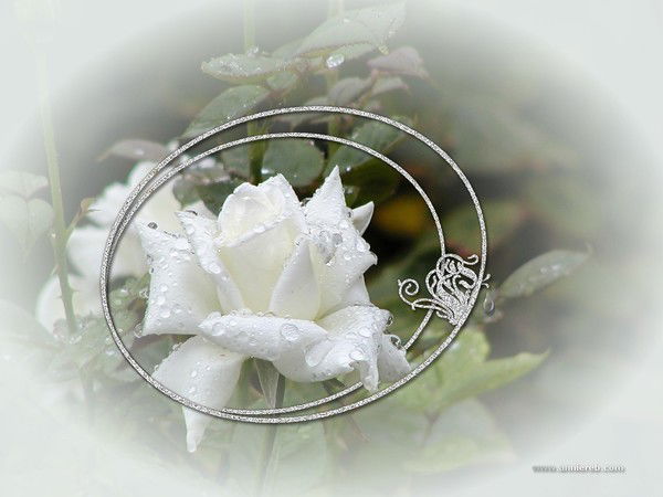 Марина Мичкань