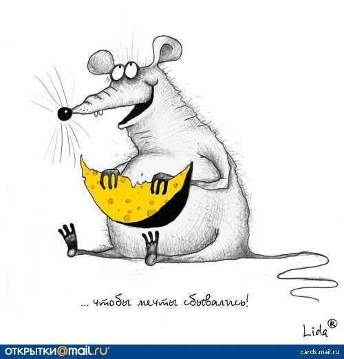 Ринат Шамшетдинов