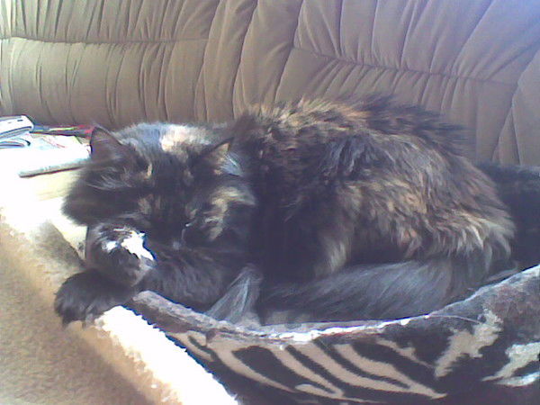 Владимир Каширин