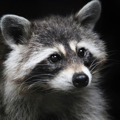 Олег Спузовский