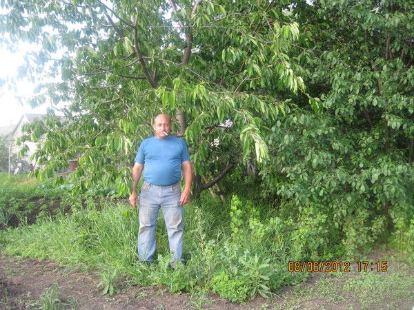 Николай Яворский