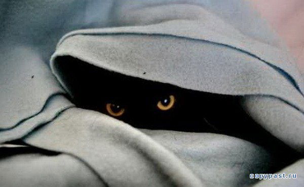 Жанибек Кайпназаров