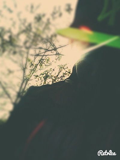 Дарья Петрова