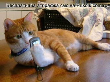 Александр Иванов