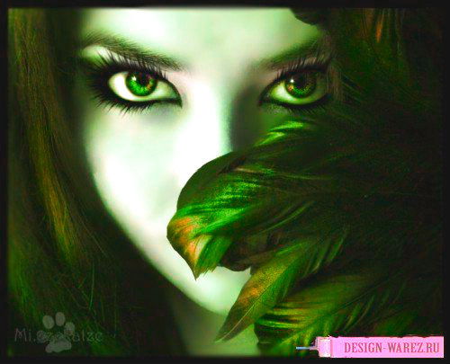 Черная Мамба