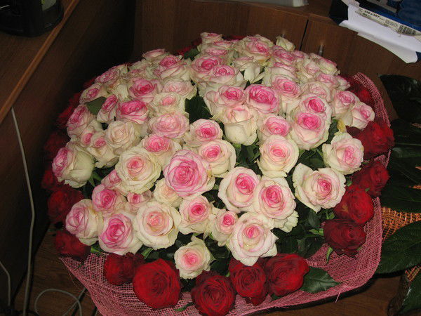 Ирина Нефедова