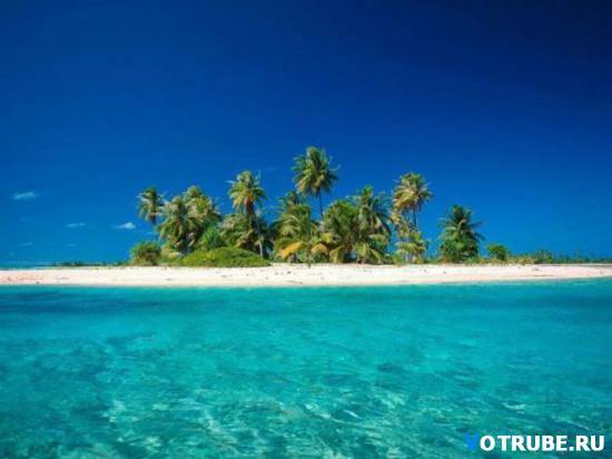 Илнор Талибов