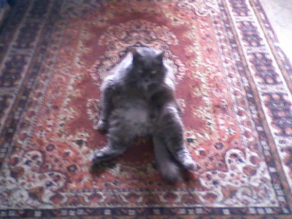 Сергей Жернаков