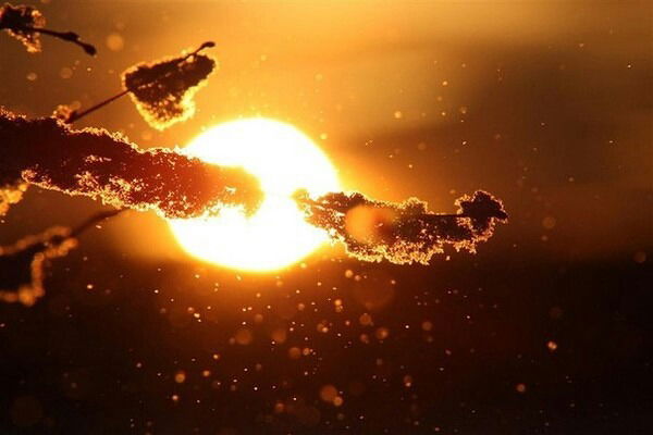 Асет Алимханов