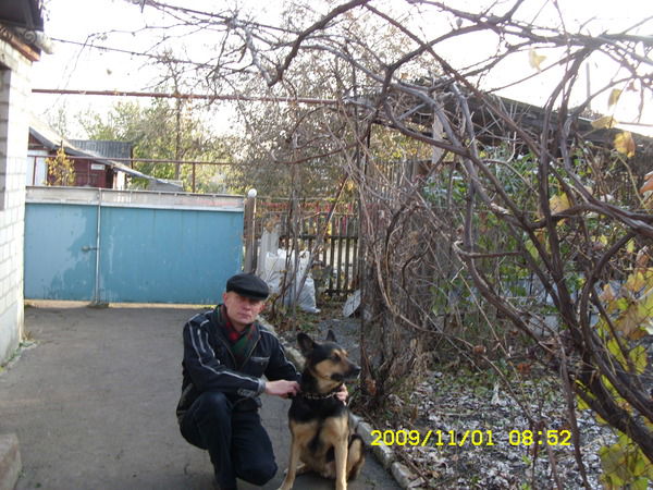 Александр Маер