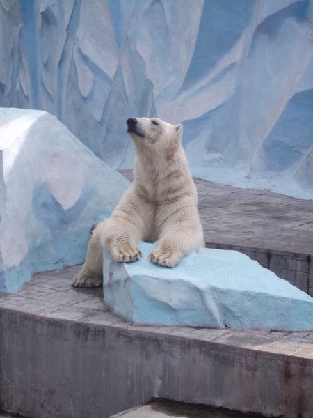 Геннадий Денисевич