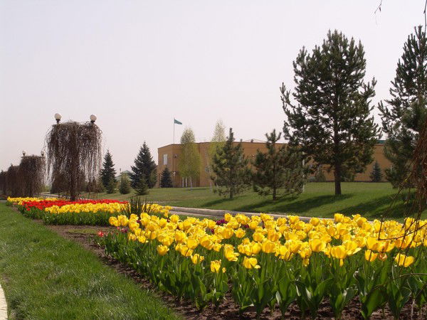 Гульнар Мусаханова