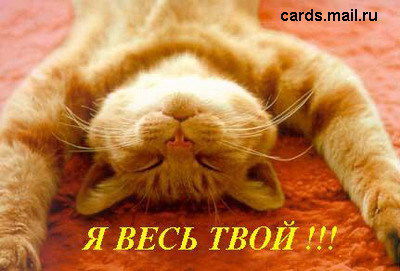 Андрей Оленников