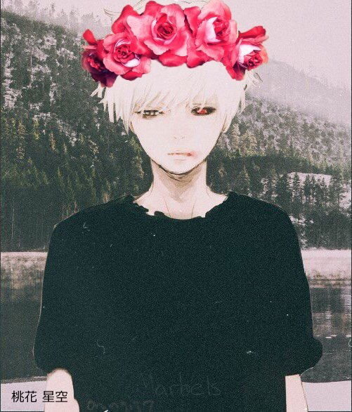 София Аккерман