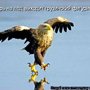 Равиль Ибрагимов