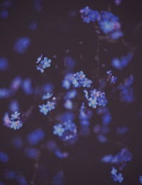 Полина Лубова