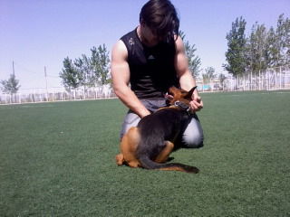 Роман Захаров