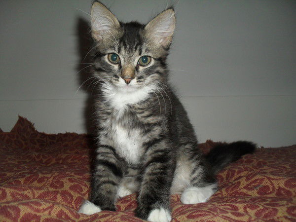 Татьяна Селивестрова