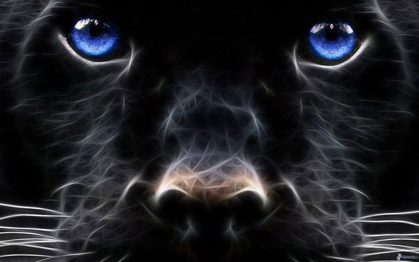 Наталия Алексеева