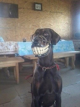 Виктор Памин