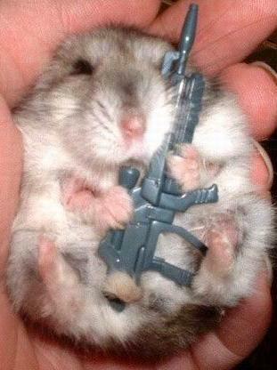 Дима Ветров